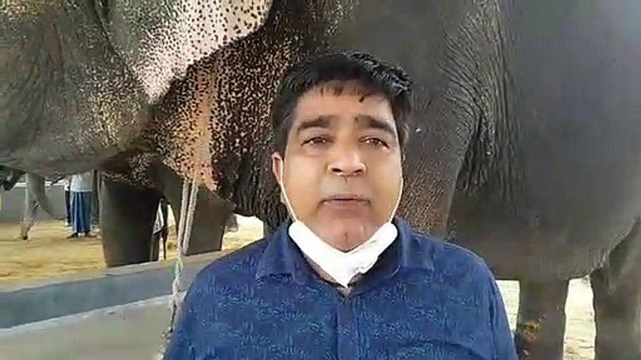 राजस्थान में पहली बार हुआ हाथियों का कोरोना टेस्ट, हाथी गांव में लिए सैंपल