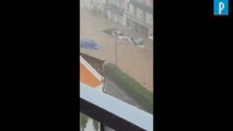 Ajaccio : déluge dans la ville corse, des voitures emportées par les eaux