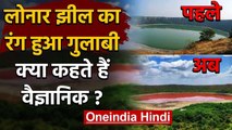 Maharashtra के Lonar Lake के पानी का रंग हुआ Pink, वैज्ञानिकों ने क्या कहा? | वनइंडिया हिंदी