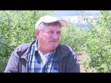 Breshëri shkatërron të mbjellat në fshatin Zvezdë të Korçës - News, Lajme - Vizion Plus
