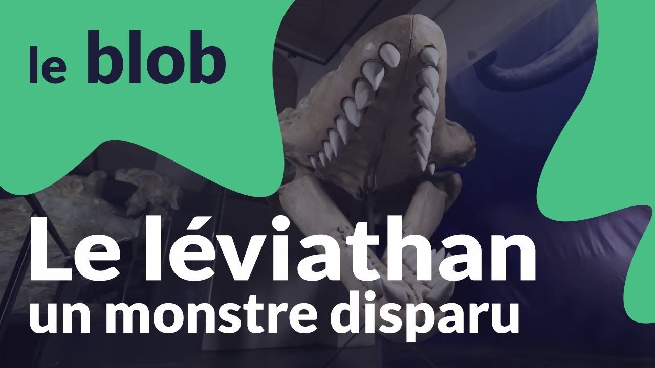Le léviathan | Monstres disparus