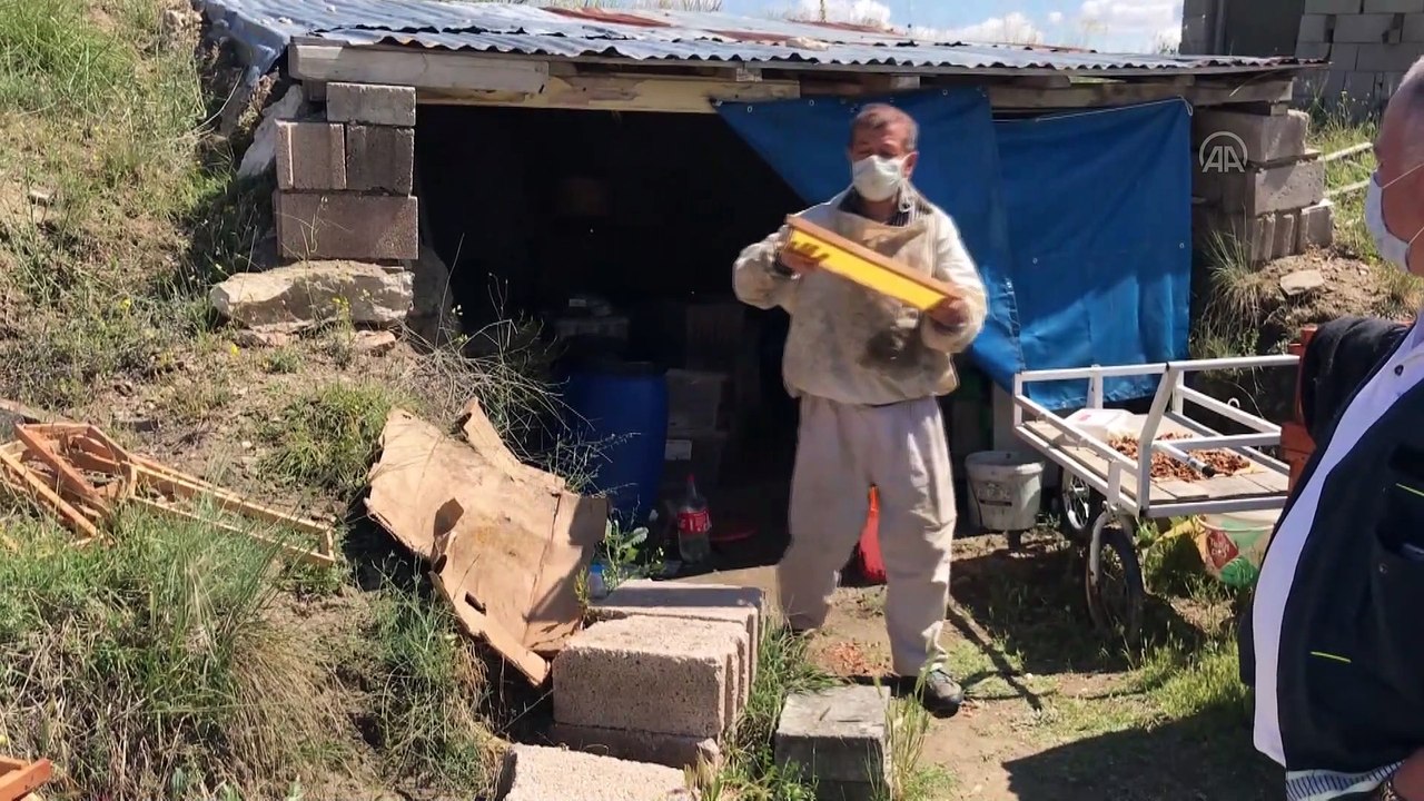 Krizi fırsata çevirerek bal üretiminde öncü oldu - KIRŞEHİR