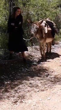 Άγριες Μέλισσες: Τρελό γέλιο! Περιπέτειες είχε η «Λενιώ» με το γαϊδουράκι