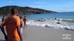 Des dizaines de dauphins viennent s'échouer sur la plage et ces touristes tentent de les sauver