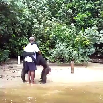 Tout le monde a besoin de câlins, même les animaux