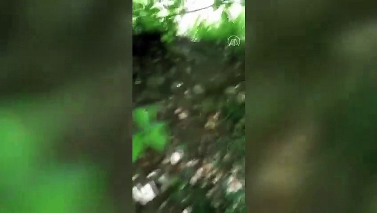 Ayının kovaladığı ekipler korkulu anlar yaşadı - BARTIN