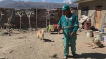 Miguel Ángel, el boliviano que salva animales abandonados en la basura
