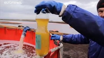 Catastrophe écologique dans l'Arctique russe : un maire poursuivi pour négligence