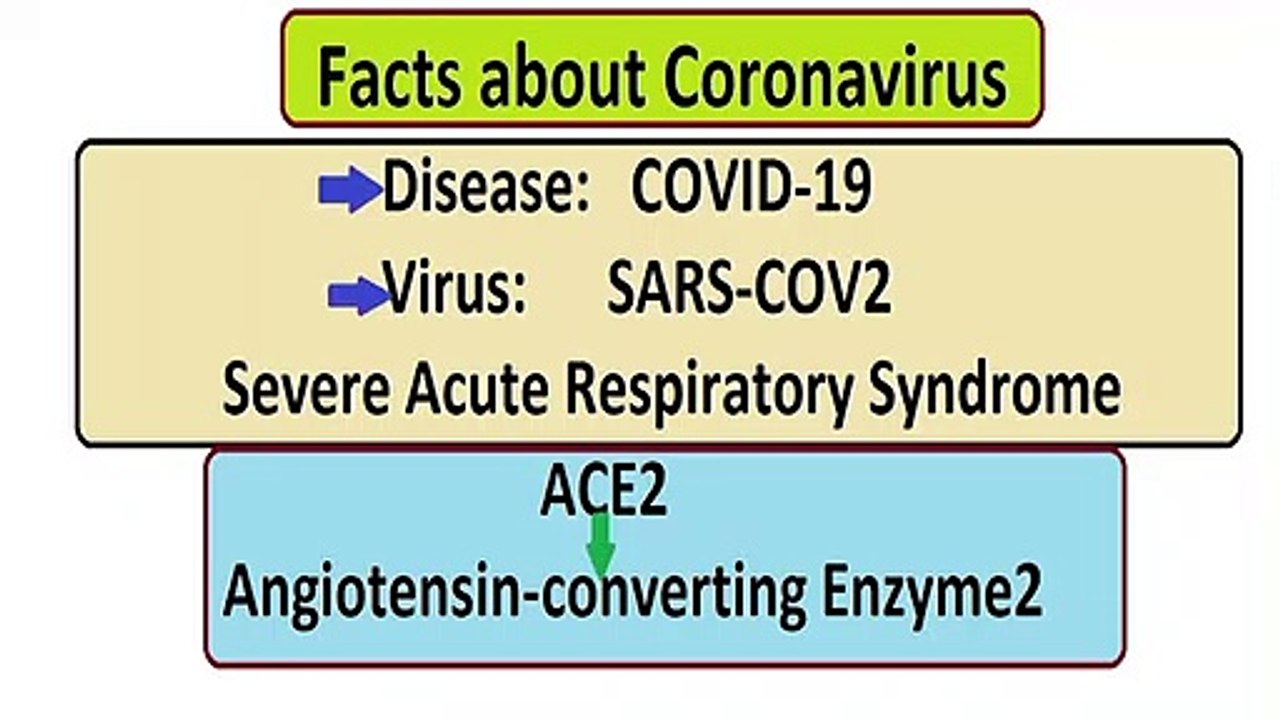 Facts about coronavirus, COVID-19, Deep Science CoronaVirus, ACE2, SARS-COV