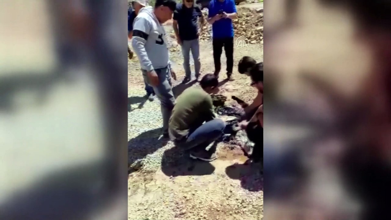 Alanya'da yol yapımı için dökülen zifte yapışan oğlak kurtarıldı - ANTALYA