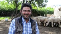 Doğa ve hayvan sevgisiyle 40 yıldır çobanlık yapıyor - BURSA