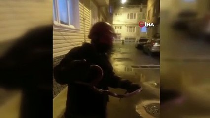 Eve tırmanmaya çalışan yılanı itfaiye ekipleri yakaladı