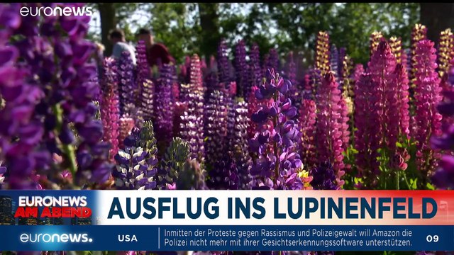 Müssen alle Statuen von Rassisten fallen? Euronews am Abend vom 11.06.