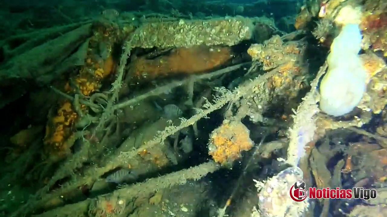 O porto de Vigo retira máis de 19 toneladas de residuos dos fondos de varias dársenas