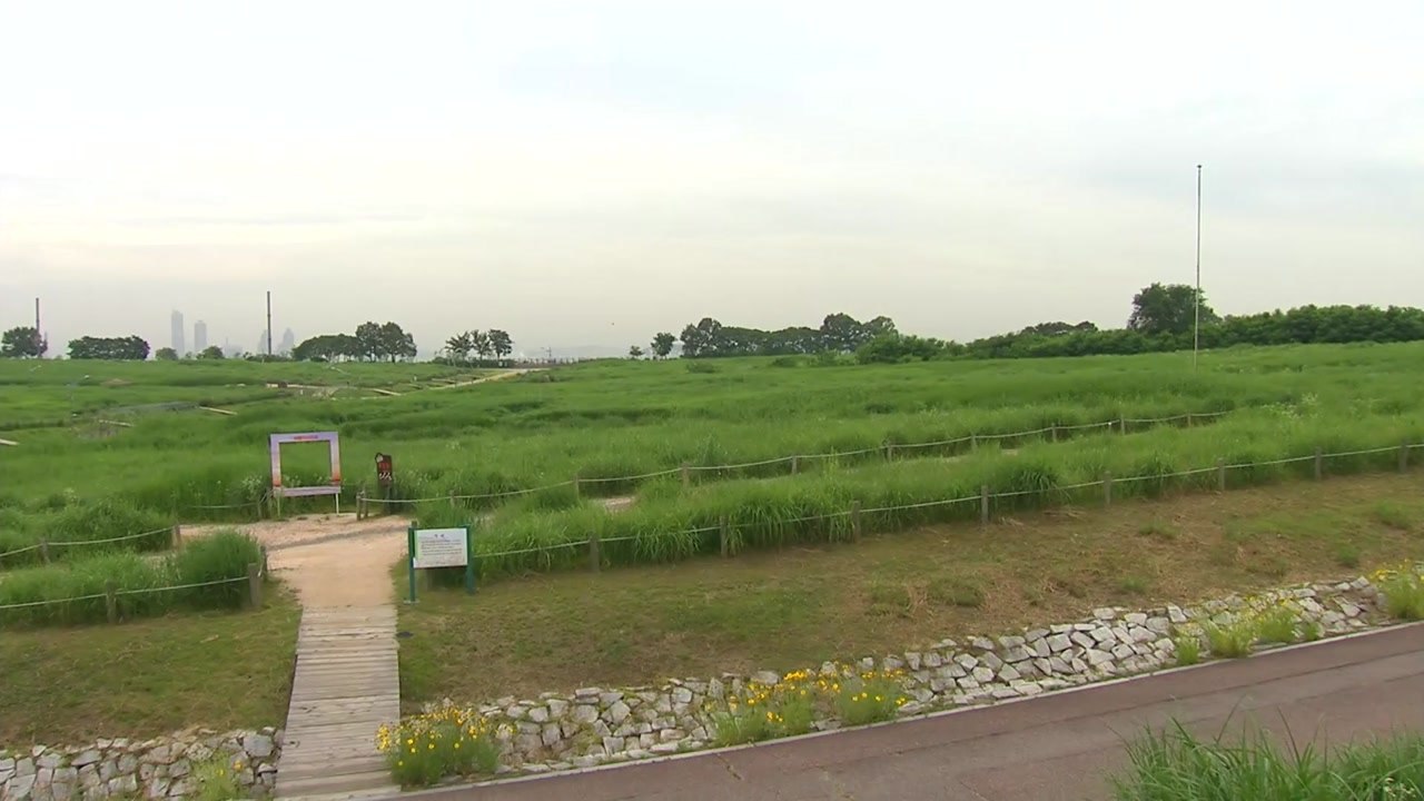 [날씨] 더위 속 남부 소나기...주말 충청 이남 호우 / YTN