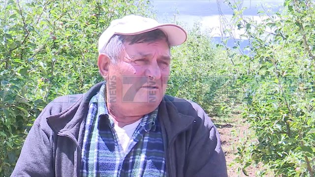 BRESHRI DEMTON TE MBJELLAT, FERMERET «KEMI HUMBUR PRODHIMIN» - News, Lajme - Kanali 7