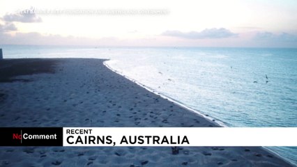 Investigadores descobrem milhares de tartarugas na Austrália