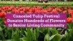 Canceled Tulip Festival Donates Hundreds of Flowers to Senior Living Community