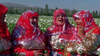 Fotoğraf tutkunları "Haşhaş Foto Safari"de buluştu - AFYONKARAHİSAR