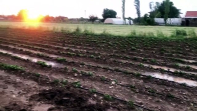 Burdur'da dolu yağışı tarım alanlarına zarar verdi