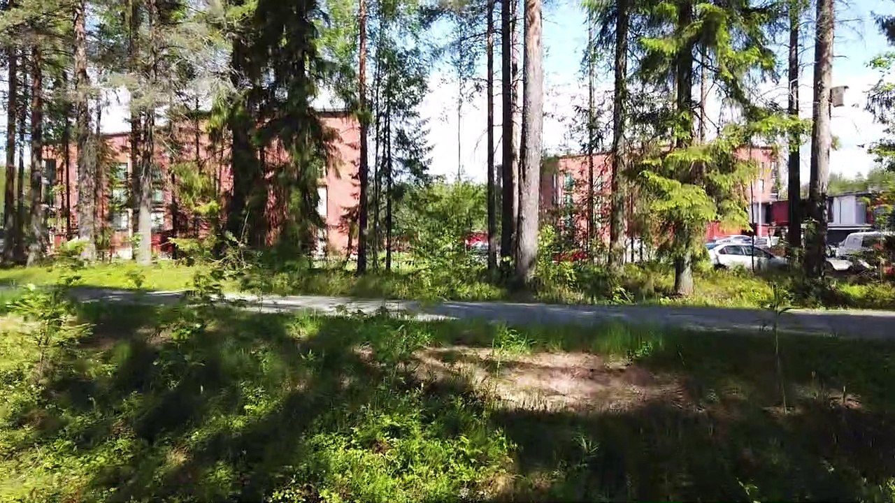 Lounaskävely rannalle