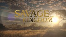 Savage Kingdom - After The Fall - S03E02 Reign of Terror - Nat Geo Wild HD