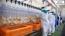 Modern Chicken Meat Processing machines