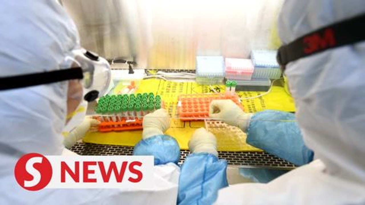 WHO says the 'hypothesis' behind China's new outbreak needs further testing