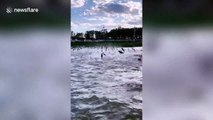 Hundreds of fish leap out of Chinese lake in natural phenomenon