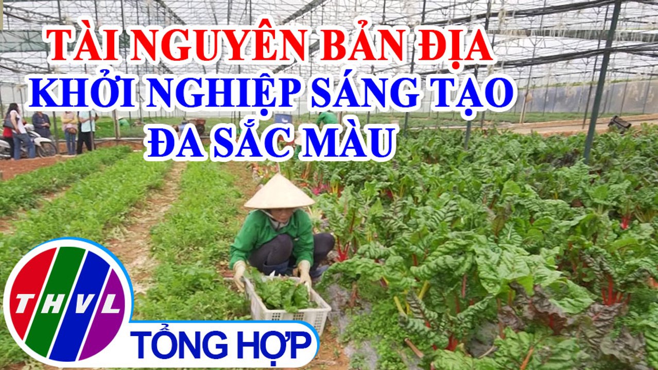Khởi nghiệp xanh: Tài nguyên bản địa - Khởi nghiệp sáng tạo đa sắc màu