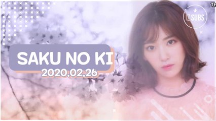 [ENG SUB] 200226 Saku no Ki (Tonight, Under the Sakura Tree)