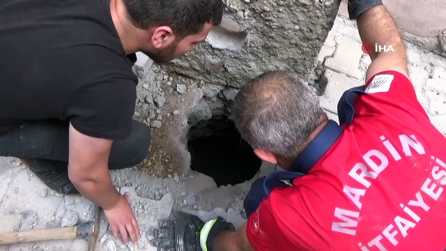 Kuyuya düşen yavru kediyi itfaiye ekipleri kurtardı