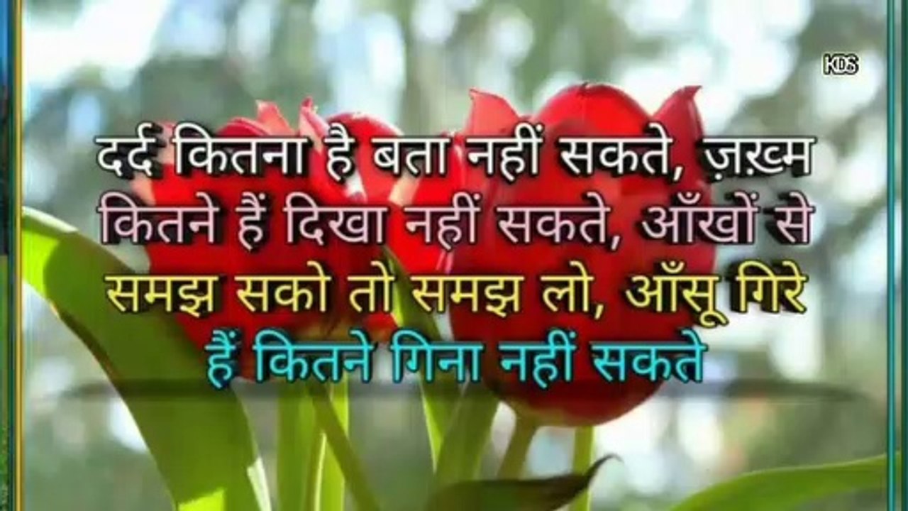Pachhtaoge lyrical song with shayari lines, best shayari, Sad shayari with song, Chhod diya