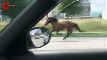 Bursa trafiğinde dört nala koştu