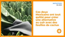 Ces deux Mexicains ont tout quitté pour créer une alternative au cuir avec des feuilles de cactus