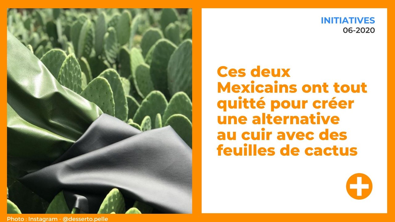 Ces deux Mexicains ont tout quitté pour créer une alternative au cuir avec des feuilles de cactus
