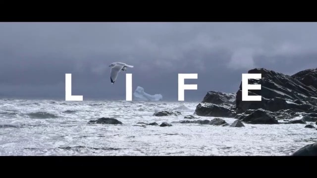 DON'T WASTE YOUR LIFE - Powerful Motivational Speech Video (Ft. Coach Pain)