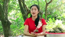 Sticky Rice Cake With Pork Recipe - Fried Sticky Rice Cake Recipe