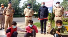 गाजियाबाद पुलिस की नई सुपर स्टार बनी डॉग स्कवायड की लीना, ब्लाइंड मर्डर केस का किया खुलासा