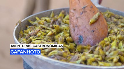 Aventuras Gastronômicas: Gafanhoto