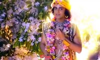 New Radhe Krishna Vani status all| new Radha Krishna serial WhatsApp status video|new Krishna Vani status all|new Krishna Bhajan status video|Radhe Radhe status video