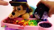 Paw Patrol Chase Feeds Vampirina Magical Rainbow Color M&Ms in High Chair Playset