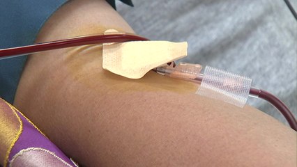 [더뉴스 - 더인터뷰] 부산 온천교회 완치자 혈장 기증..."마음의 빚 갚겠다" / YTN