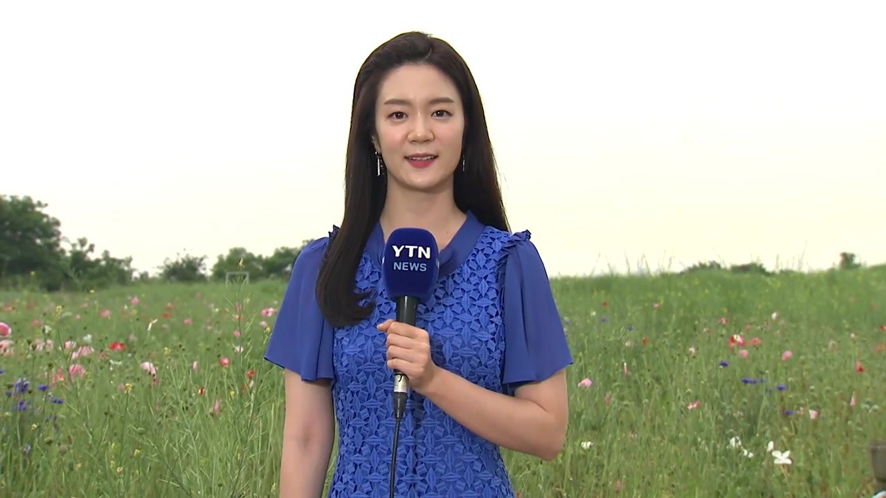 [날씨] 충청 이남 소나기...주말 200mm↑국지성 호우 / YTN