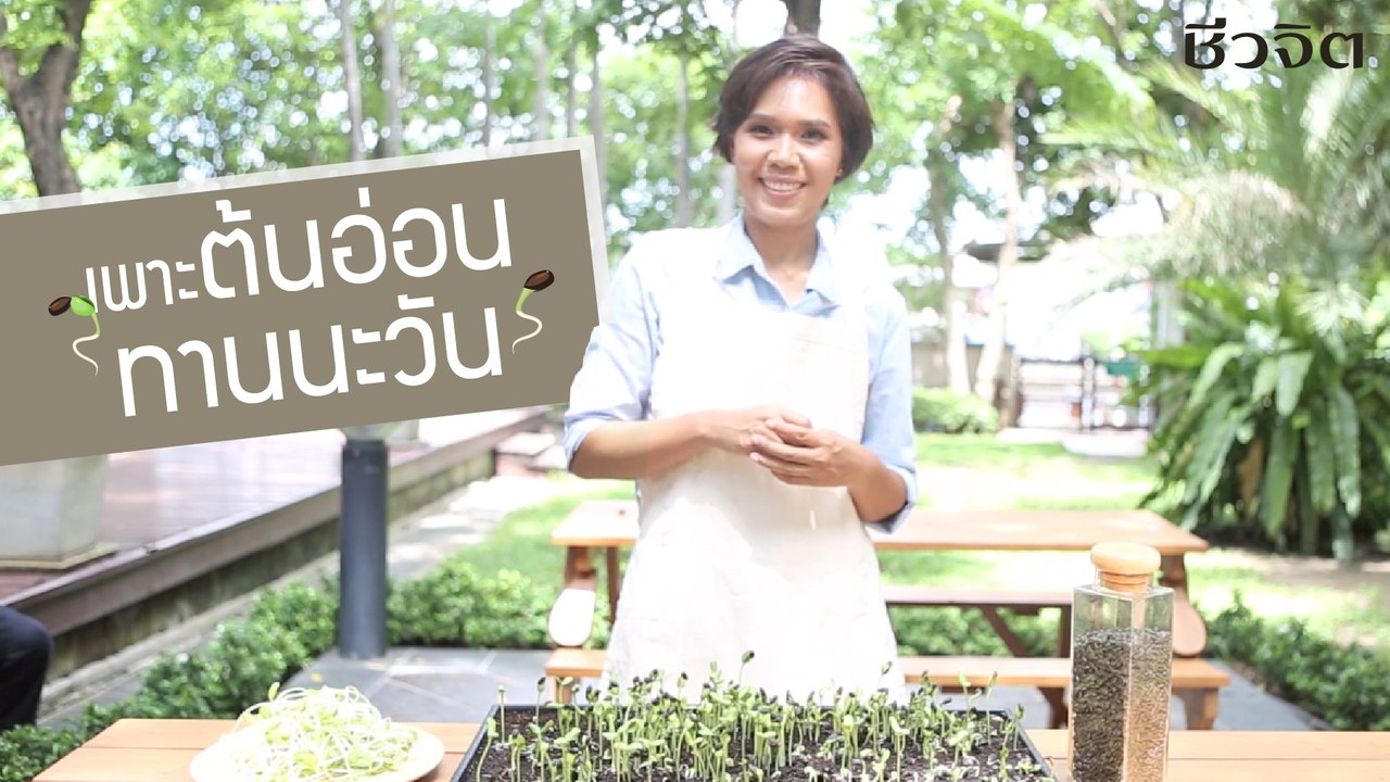 ชีวจิตกูรู:  เพาะต้นอ่อนทานตะวัน