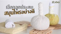 ชีวจิตกูรู: วิธีเลือกและประคบ ลูกประคบสมุนไพร อย่างไรดี ปลอดภัย