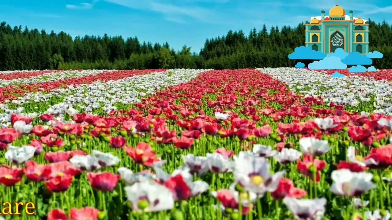 Latest Tarana beautiful Tarana New nazm tarana latest naat jamiat islahul muslimeen