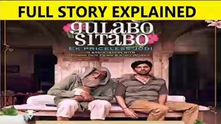 Gulabo Sitabo Full Story Explained || Web Series Story Expert