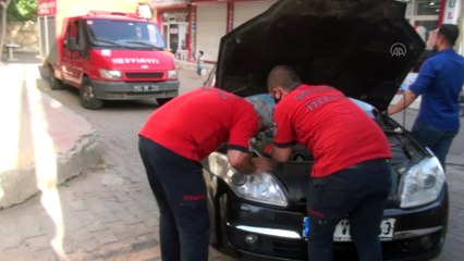 Otomobilin motor kısmına sıkışan kedi operasyonla kurtarıldı - ŞANLIURFA