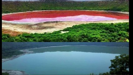 Download Video: LONAR LAKE: Maharashtra Lonar Lake Updates: लोनार झील का पानी हुआ गुलाबी, विशेषज्ञ हैरान | Lonar Turned Pink